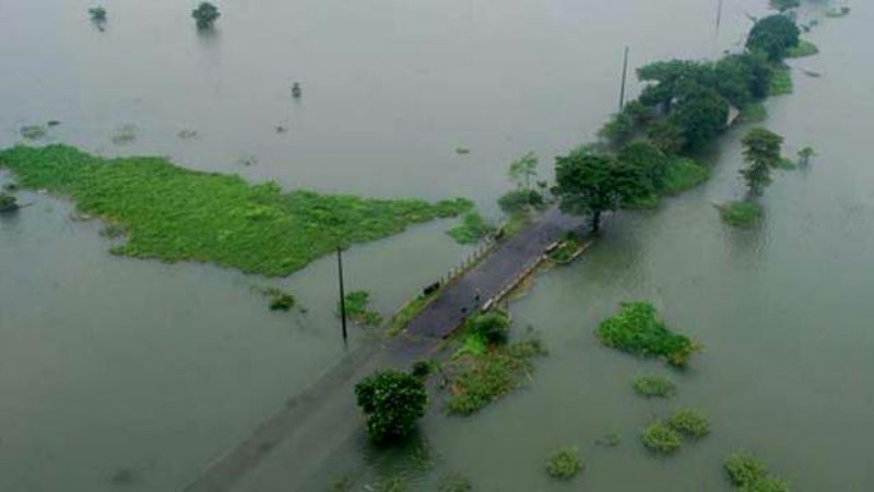 Kementan Respon Cepat Lakukan Penanganan Banjir di Areal Persawahan Pati