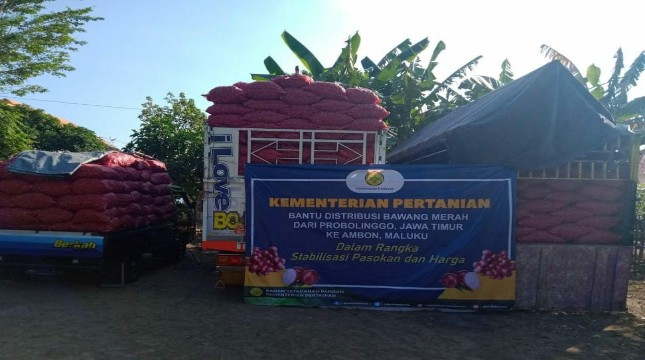Stabilkan Pasokan, Kementan Subsidi Distribusi Bawang Merah ke Maluku dan Daging Ayam ke Kaltara