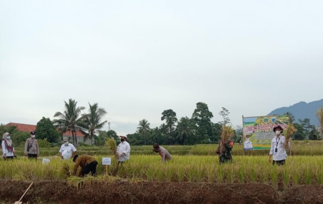 Kementan Siap Gelar Pelatihan Bagi Petani dan Penyuluh Untuk Tingkatkan Produktivitas Pertanian