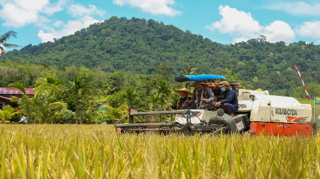 KTNA: Food Estate Bisa Menjadikan Indonesia Sebagai Negara Kuat di Dunia