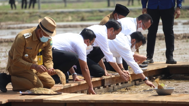 Jokowi Apresiasi Lompatan Kerja Kementan Dalam Produksi Benih Unggul Padi