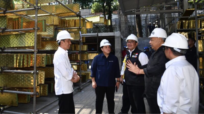 Presiden Pastikan Pembangunan Istana di IKN Berjalan Sesuai Rencana