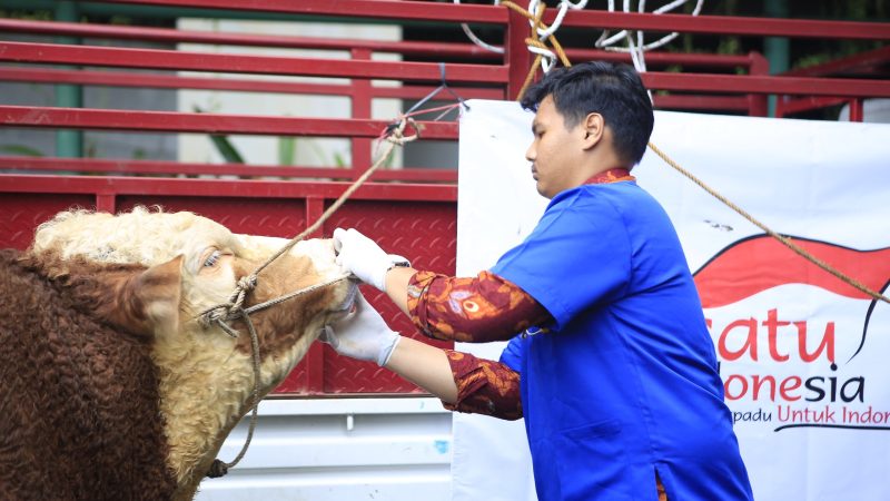 Berdayakan Peternak Kecil, Grup Astra Salurkan 1614 Hewan Kurban
