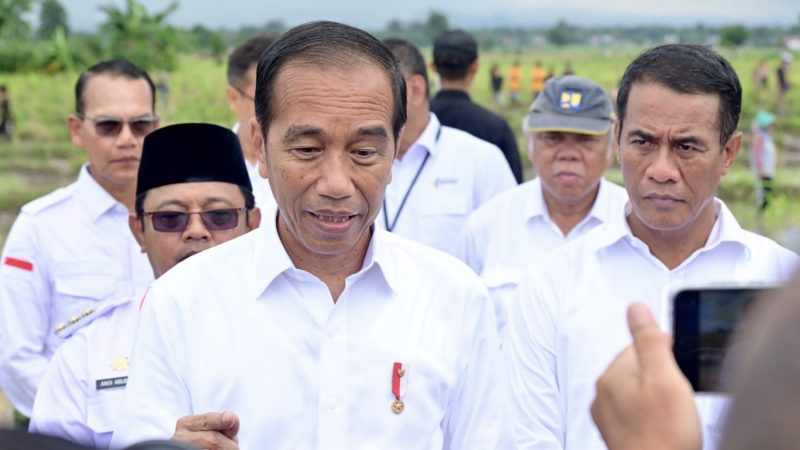 Presiden Sebut Potensi IKN Dongkrak Pertumbuhan Ekonomi Sektor Pertanian bagi Daerah Sekitar
