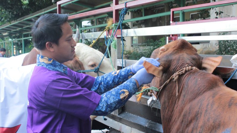 Astra Salurkan Hewan Kurban ke 29 Provinsi, Dukung Peternak Lokal dan Kelestarian Lingkungan