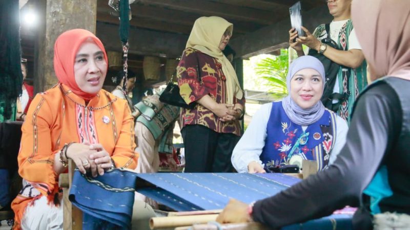 Kemendagri dan Dekranas Gelar Pelatihan Pewarna Alami di Alor