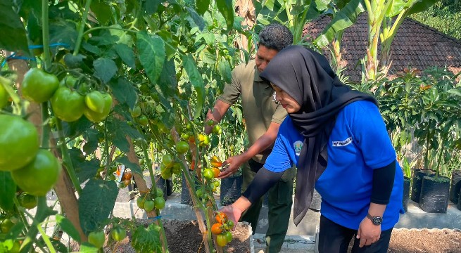Penyandang Disabilitas Bisa Menjadi Petani
