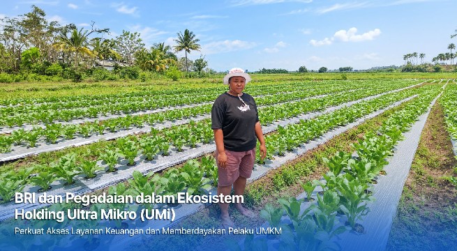 Dari Gadai Emas hingga KUR Mikro, Holding Ultra Mikro Bawa Mur Dwi Astuti Sukses Jadi Petani di Merauke 