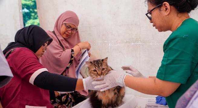 Jangan Abaikan Gigitan, Segera Cuci Luka Selama 15 Menit