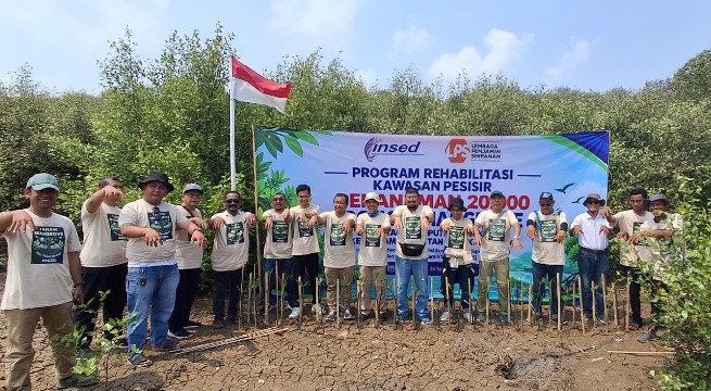 INSED-LPS Tanam 20.000 Mangrove di Karawang