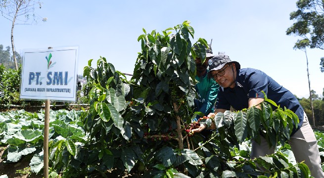 PT SMI Perkuat Komitmen Keberlanjutan melalui Panen Perdana Program Penghijauan Lahan Kritis di Jawa Barat