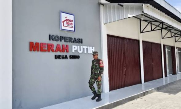 Pengembangan Koperasi Desa Merah Putih Diperluas Bertahap di Papua Tengah