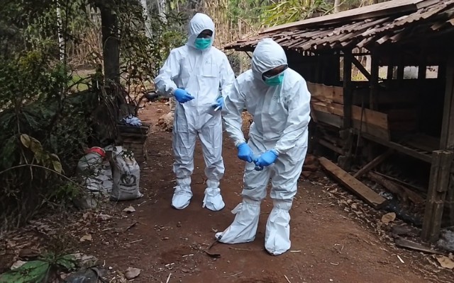 Kementan Perkuat Langkah Pemda dalam Pengendalian Penyakit Hewan di Gunungkidul