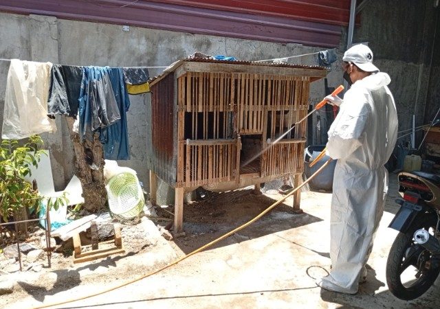 Sinjai Tingkatkan Kewaspadaan Dini Penyakit Hewan