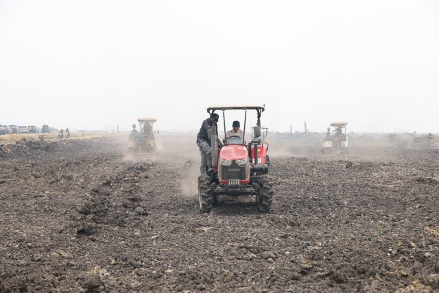 Dorong Percepatan Tanam dan Produktivitas Cetak Sawah Merauke